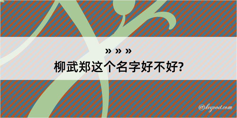 柳武郑这个名字好不好?