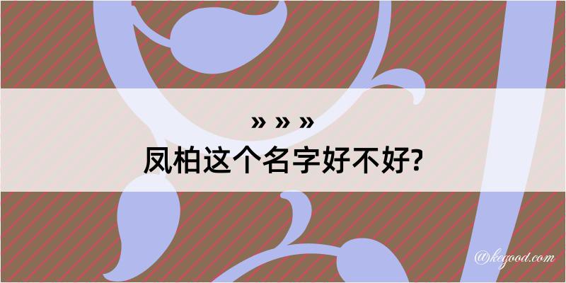 凤柏这个名字好不好?