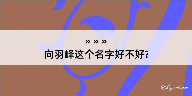 向羽峄这个名字好不好?