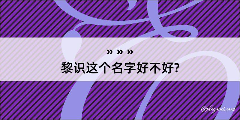 黎识这个名字好不好?