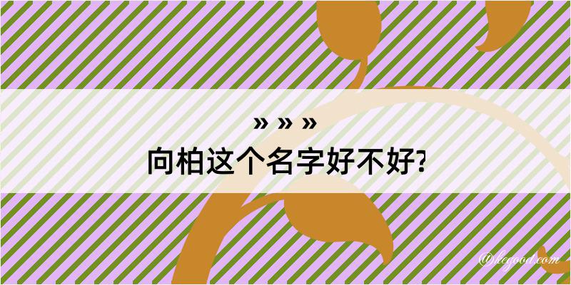 向柏这个名字好不好?