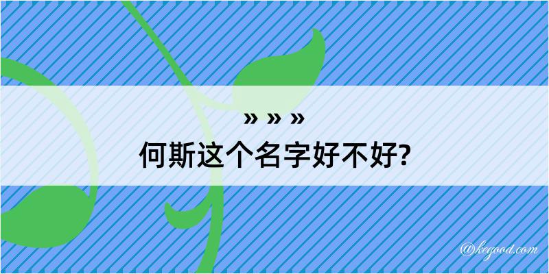 何斯这个名字好不好?