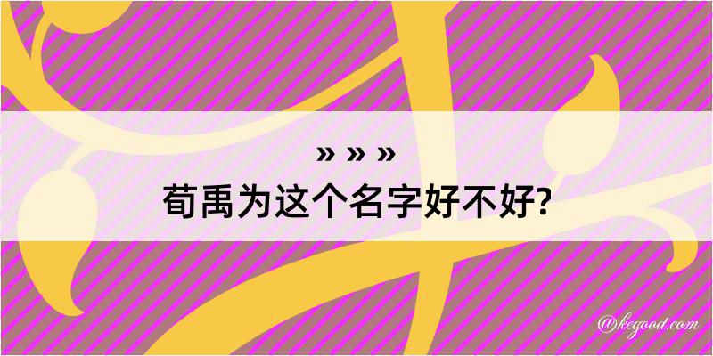 荀禹为这个名字好不好?