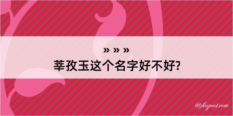 莘孜玉这个名字好不好?