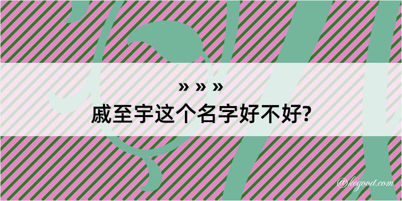 戚至宇这个名字好不好?