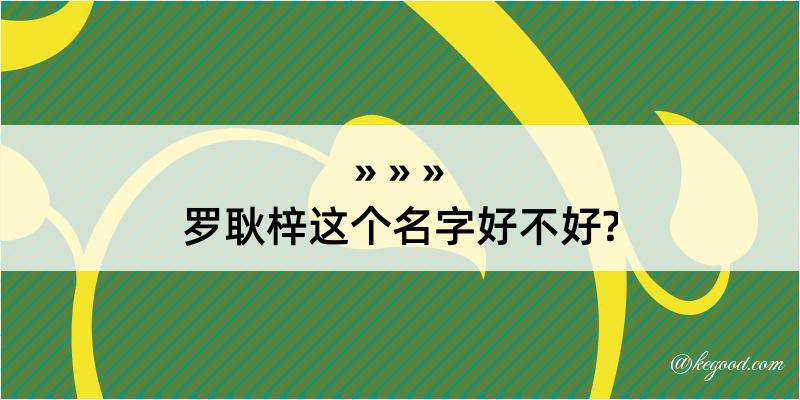 罗耿梓这个名字好不好?