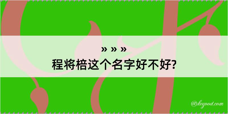 程将棓这个名字好不好?