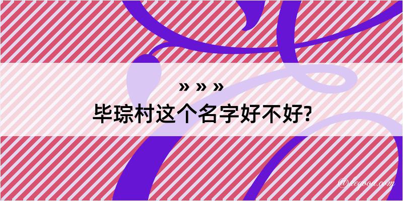 毕琮村这个名字好不好?