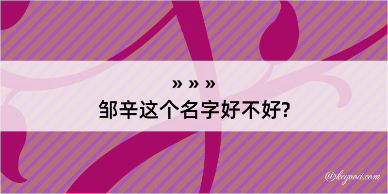 邹辛这个名字好不好?