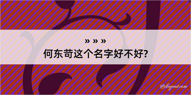 何东苛这个名字好不好?