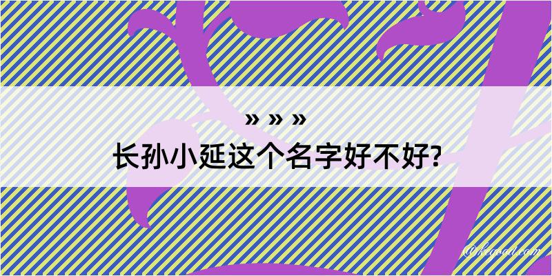 长孙小延这个名字好不好?