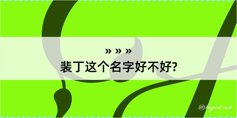 裴丁这个名字好不好?