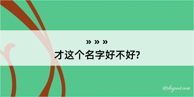 才这个名字好不好?