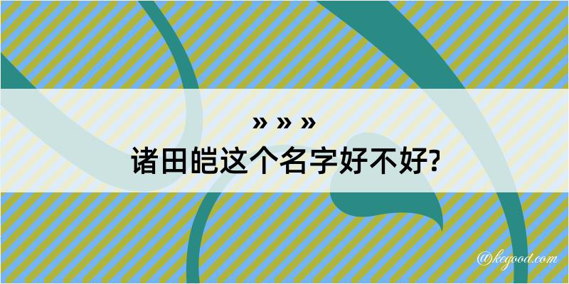 诸田皑这个名字好不好?