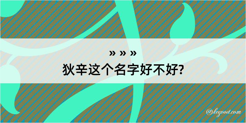 狄辛这个名字好不好?