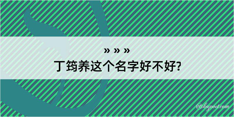 丁筠养这个名字好不好?