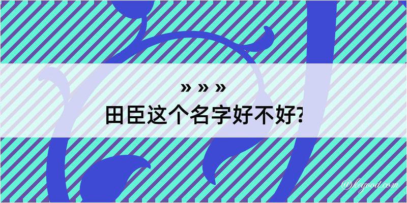 田臣这个名字好不好?