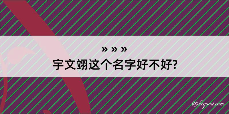 宇文翊这个名字好不好?