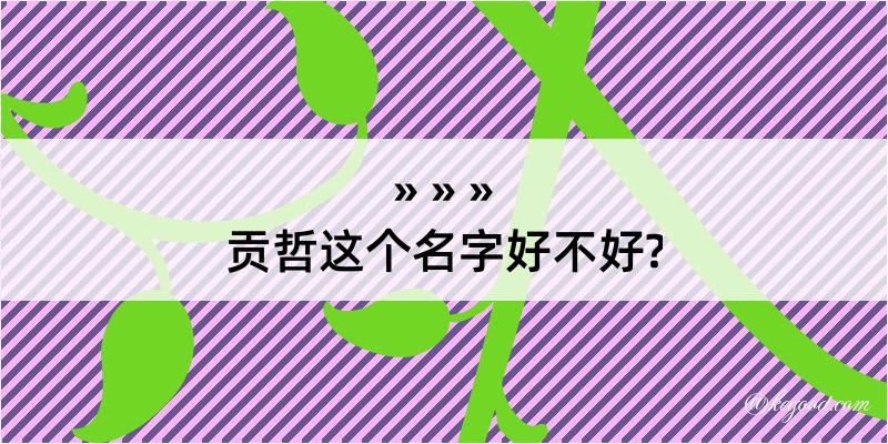 贡哲这个名字好不好?