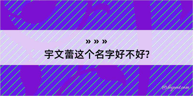 宇文蕾这个名字好不好?