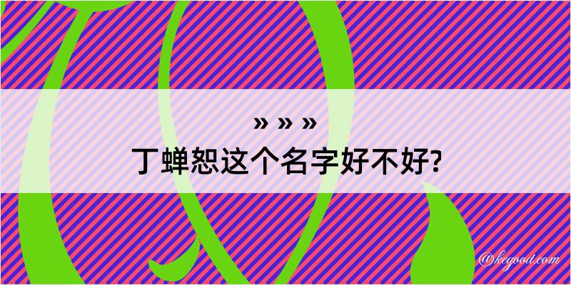 丁蝉恕这个名字好不好?