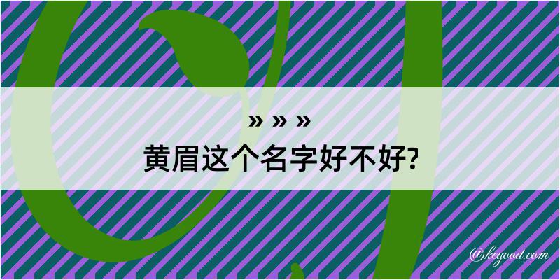 黄眉这个名字好不好?