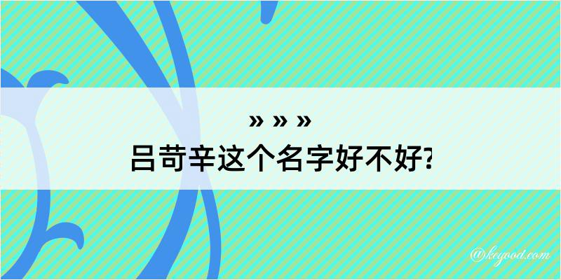 吕苛辛这个名字好不好?