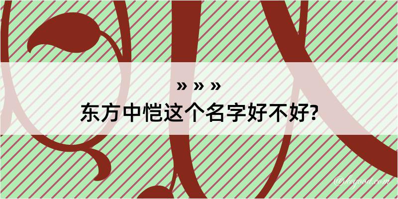 东方中恺这个名字好不好?