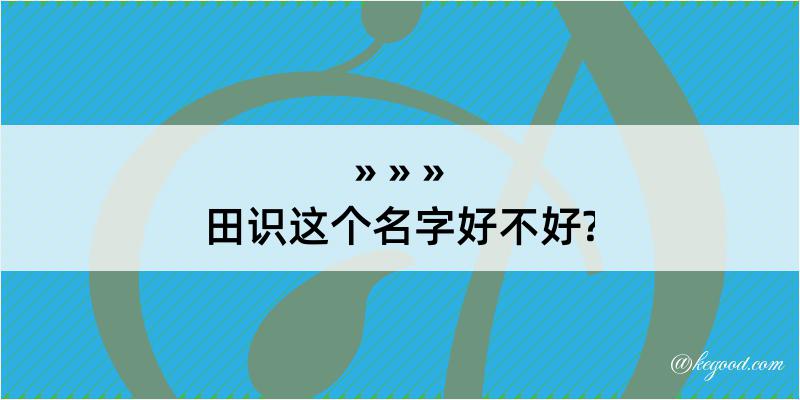 田识这个名字好不好?