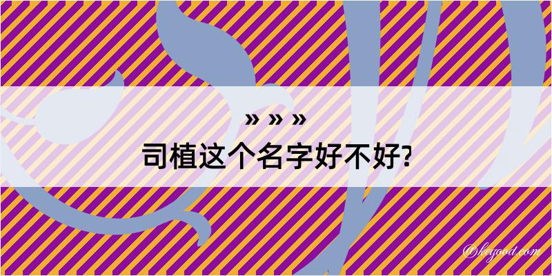 司植这个名字好不好?