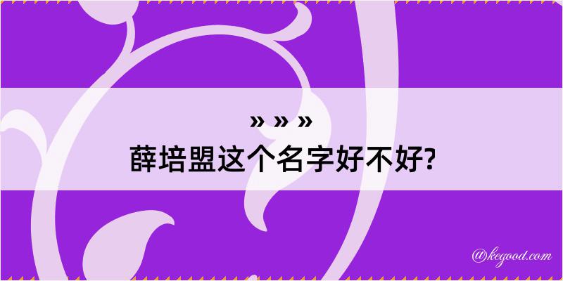 薛培盟这个名字好不好?