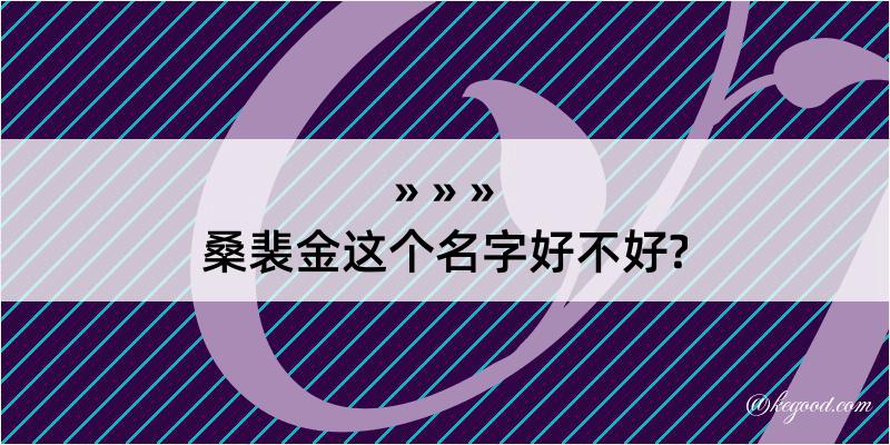 桑裴金这个名字好不好?