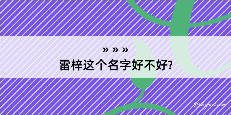 雷梓这个名字好不好?