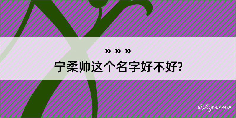 宁柔帅这个名字好不好?