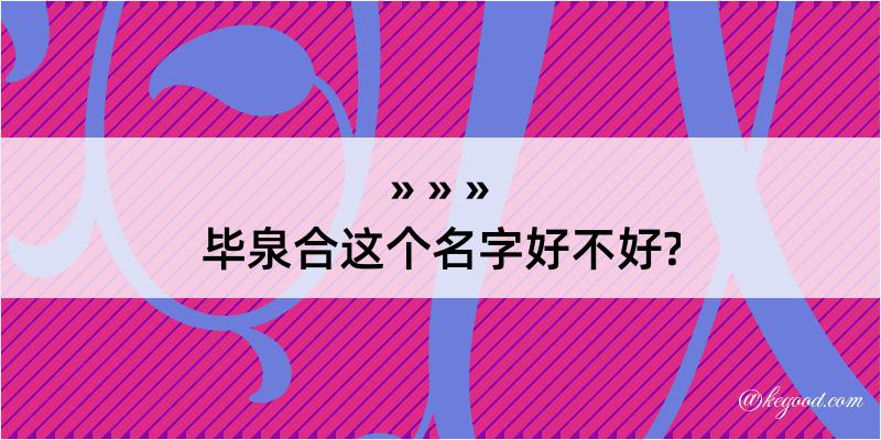 毕泉合这个名字好不好?