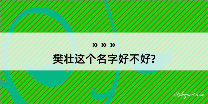 樊壮这个名字好不好?