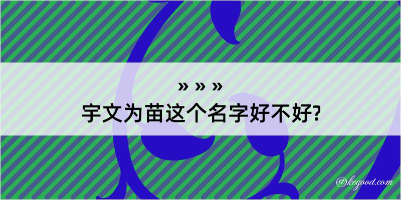 宇文为苗这个名字好不好?