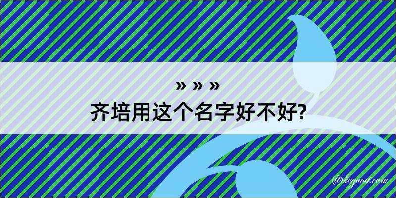 齐培用这个名字好不好?