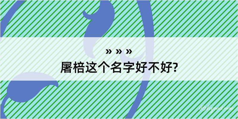 屠棓这个名字好不好?