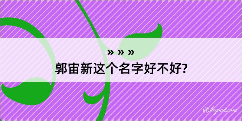 郭宙新这个名字好不好?