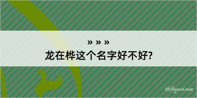 龙在桦这个名字好不好?