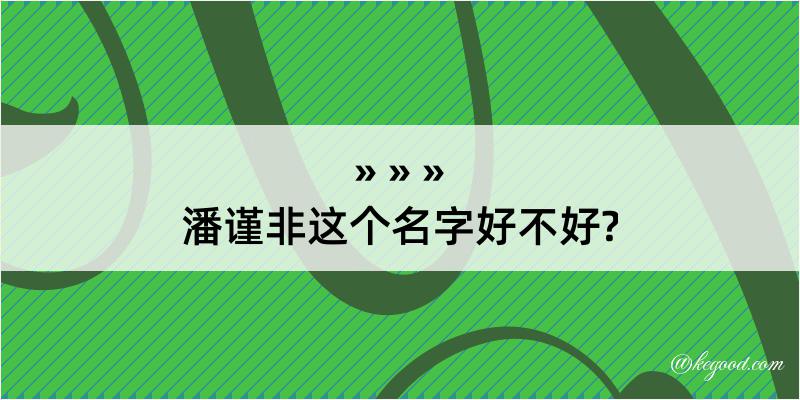 潘谨非这个名字好不好?