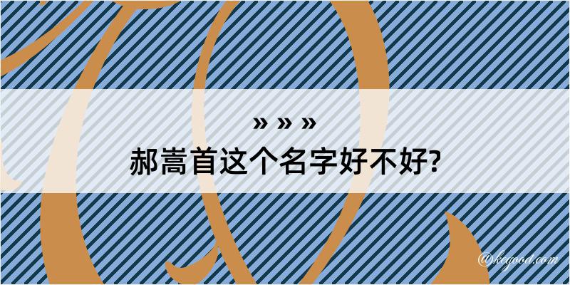 郝嵩首这个名字好不好?