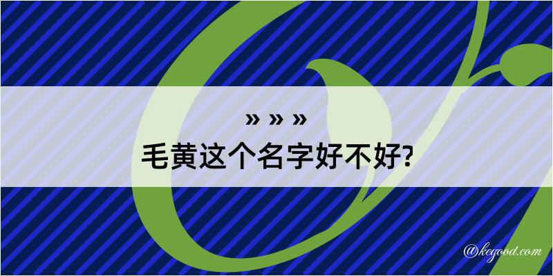 毛黄这个名字好不好?