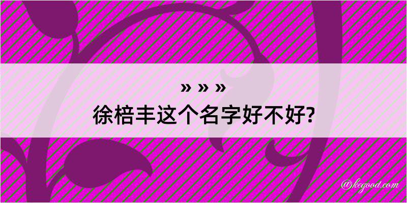 徐棓丰这个名字好不好?