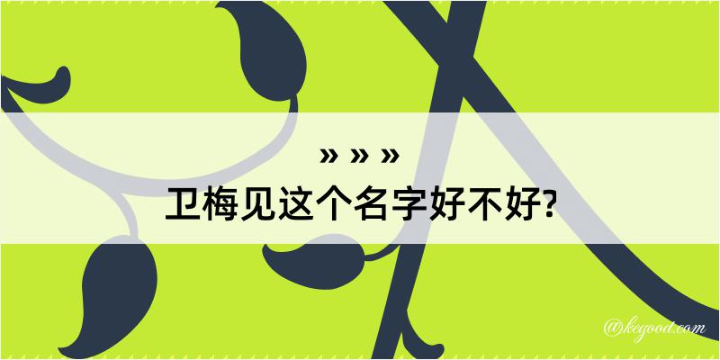 卫梅见这个名字好不好?