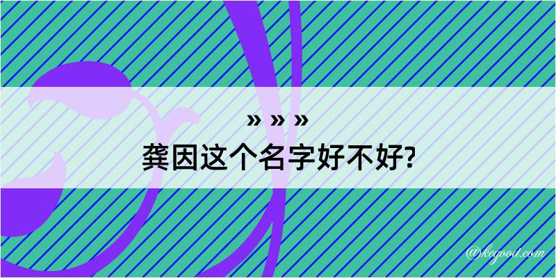 龚因这个名字好不好?