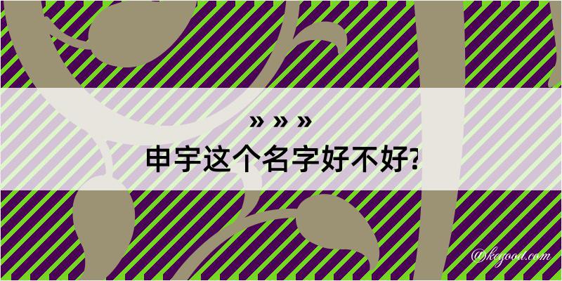 申宇这个名字好不好?