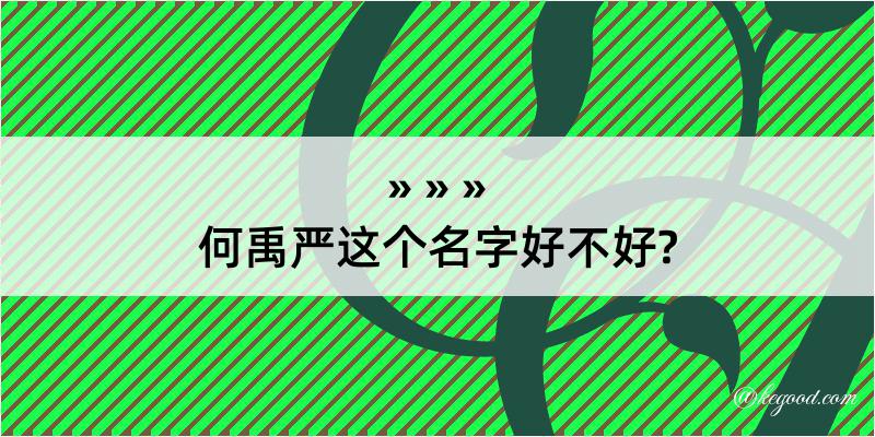 何禹严这个名字好不好?