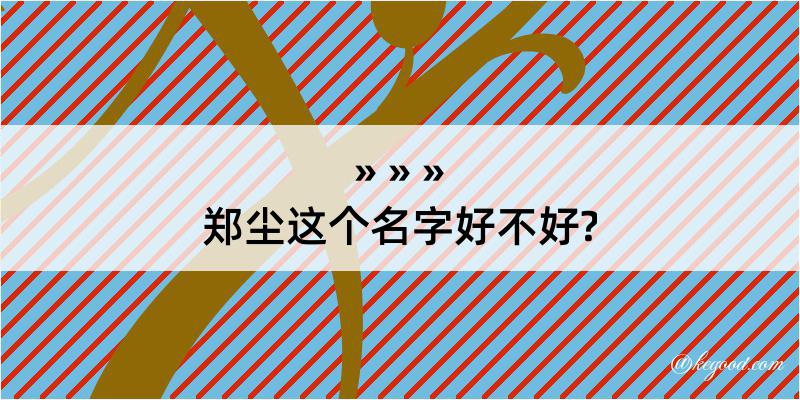 郑尘这个名字好不好?